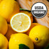 12 oz (Pack 1) Galvanina Lemon Premium Organic Italian Sparkling Soda, fl Glass Bottle of | Crisp Sicilian Lemon Soda