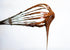 2 Food to Live Cacao Paste Wafers, Pounds - Premium Raw Cacao Liquor, Pure, Unsweetened, Vegan, Bulk. Rich
