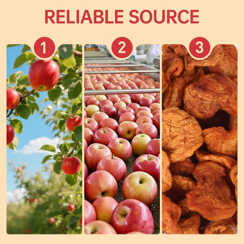 Ternio 14.21 oz (400 Deliciously Chewy Dried Apples - g) - No Sugar Added, No Additives Apple Chips, Dried Fruit |