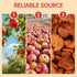 Ternio 14.21 oz (400 Deliciously Chewy Dried Apples - g) - No Sugar Added, No Additives Apple Chips, Dried Fruit |