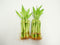 Athena's Garden B-SS04 Bamboo Stalks 4" with Shoots, 4" Green