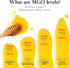 510+) 8.8 oz Good Natured Manuka Honey (MGO - High Grade Raw Manuka Honey Medical Grade, Non-GMO, Lab-Tested & AMHA