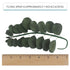 5 Count Global Sugar Art Green Eucalyptus Branch Sugar Cake Flowers, by Chef Alan Tetreault