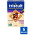 6 8.5 oz Triscuit Balsamic Vinegar & Basil Whole Grain Wheat Crackers, Lunch Snacks, Bulk Snack Crackers, - Boxes