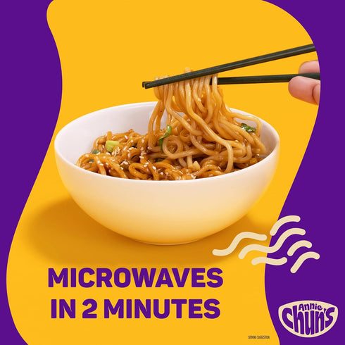 8.16 oz (Pack 1) Annie Chun's Teriyaki Noodle Bowl