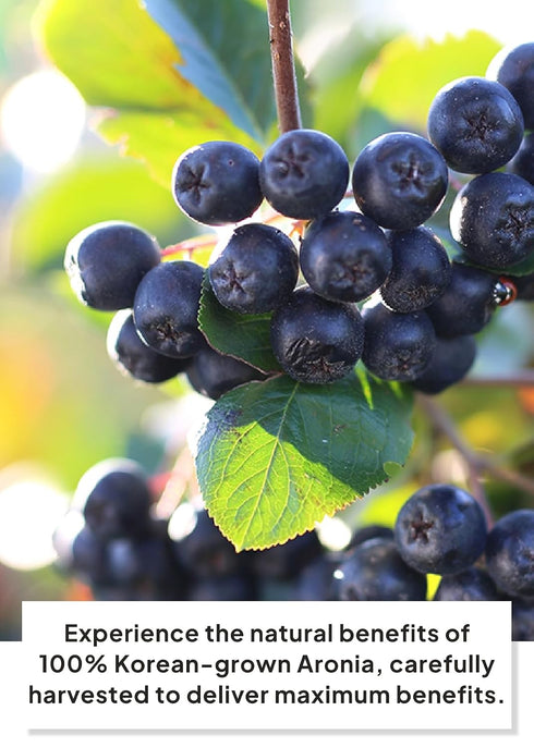 100% 2.37 OZ (70ml) 30 Pack, Korean Food ILSONGJUNG Pure Aronia Juice No Added Sugar, Antioxidant-Rich Superfruit