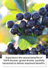 100% 2.37 OZ (70ml) 30 Pack, Korean Food ILSONGJUNG Pure Aronia Juice No Added Sugar, Antioxidant-Rich Superfruit