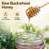 500g 1.1 lbs Antioxidant-Packed OneRoot Raw Honey Bundle Buckwheat & Canadian Wildflower Honey Unheated & Nutrient-Rich