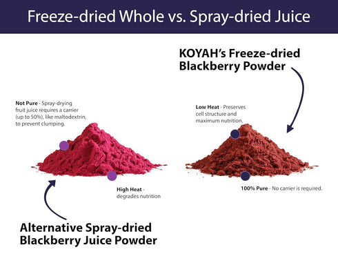 30 (1 1/4 KOYAH - Organic Blackberry Powder: Servings scoop = Cup Fresh): Freeze-dried, Whole-Berry Powder, Raw