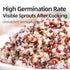 1:1:1 31.7 oz Tri-Color Quinoa, White Red Black Quinoa Grain for Salads, Bowls and Side Dishes, Blend, Jar