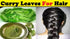 MB Herbals Curry Leaf Powder, 227 Gram | 8 oz | Promotes Hair Growth and Volume