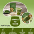 6 Immune 30 1 Pack Bunkell Mushroom Matcha, Adaptogenic Mushrooms Mix w/Japanese Matcha, Ceremonial Powder Blend