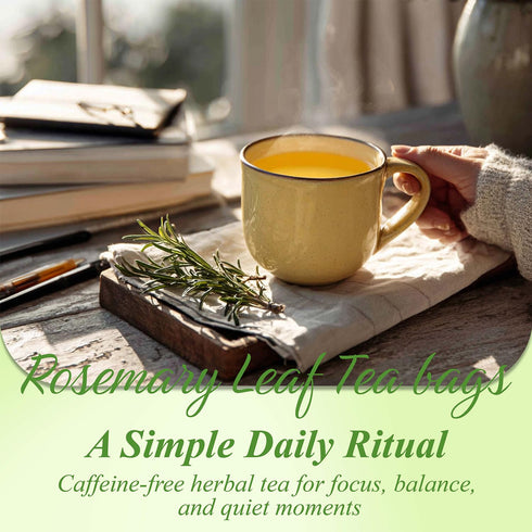 100 Count,100% WT WEETEE Rosemary Leaf Tea Bags Caffeine-Free Herbal Tea Made from Pure Rosemary Leaves, Supports