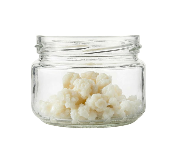 NatuDelight Kefit by - Live Milk Kefir Grains - 3 Teaspoons Fresh Active
