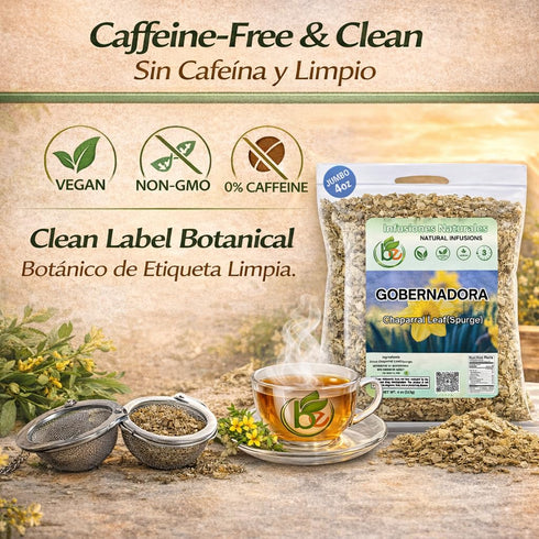 4 oz 100% Gobernadora Tea (Chaparral Leaf) with Stainless Steel Tea Infuser Natural Larrea tridentata Traditional