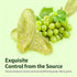 KLYso 500g Premium Green Raisins - Soft, Sweet Dried Fruit Snack, No Added Sugar, Ready-to-Eat For Baking, Oatmeal
