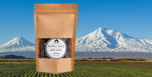 GRIGORIAN GOURMET 1 OZ (30g), Purple Basil (Ocimum basilicum) Aromatic Italian, Armenian, Greek Heritage Variety