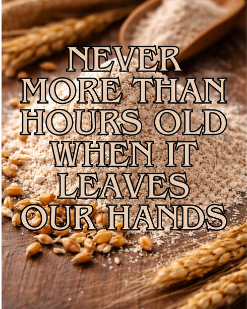XOL 3-Day 5 lb Sprouted Whole Wheat Flour Freshly Sprouted, Stone-Milled Hard Red Wheat, Organic, Glyphosate-Free