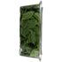 Satur Farms 5 OZ Baby Spinach Salad