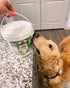 5lb 5 Once Again Organic Creamy Peanut Butter, Pantry Pal (same as jars) - Salt Free, Unsweetened - USDA Organic