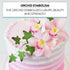 3 Count Global Sugar Art Cymbidium Orchid Sugar Cake Flowers, Pink, by Chef Alan Tetreault