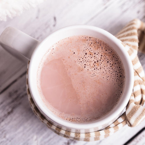 15g 80 3g 21 17.6 Nutmeg State Nutrition - High Protein Hot Cocoa Mix, Low Calorie Hot Chocolate Protein Drink
