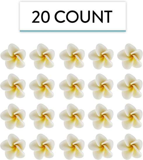 20 Count Global Sugar Art Tropical Frangipani Plumeria Sugar Cake Flowers, White by Chef Alan Tetreault