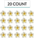 20 Count Global Sugar Art Tropical Frangipani Plumeria Sugar Cake Flowers, White by Chef Alan Tetreault