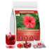 Oryvox Hibiscus Tea Bags, 100% Natural Hibiscus Flowers Herbal High Blood Pressure Tea
