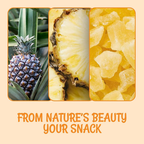 1.5 LB Packed Oh! Nuts Dried Pineapple - - Dried Fruit Chunks - Less Sugar Added - Dehydrated Fruit Bites - in New York