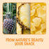 1.5 LB Packed Oh! Nuts Dried Pineapple - - Dried Fruit Chunks - Less Sugar Added - Dehydrated Fruit Bites - in New York