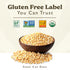 2.5 (Pack 2) GF Harvest Gluten Free Certified Organic Whole Grain Steel Cut Oats, Pound