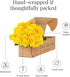 24 BloomsyBox - Yellow Roses - Long Stems,Long Lasting, Hand-Tied in Eco-friendly,Vase Not Included, Fresh Flowers
