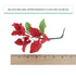 6 Count Global Sugar Art Exquisite Red Bougainvillea Sugar Cake Flowers, by Chef Alan Tetreault (Red)