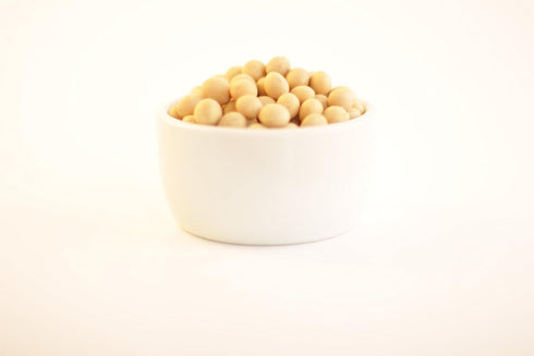Pinstar Premium (5 Premium Grade Non-GMO Soybeans Pounds) - Great for Soy Milk and Tofu - Product of USA