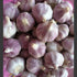 Garlic Bulbs Whole, Early Purple Italian Garlic Bulbs, 14 ounces of Garlic,