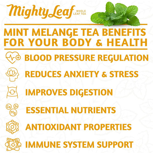 15-Count 1.32 Oz (Pack 3) Mighty Leaf Organic Tea, Mint Melange, Whole Leaf Pouches