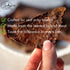 21 Pack 5 13 3 Jerky.com Pieces of Beef Jerky Variety & Meat Stick Gift Box for Men - Including Flavors of Beef Jerky