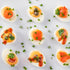 7 Farms 3 Pack 16 Pickled Quail Egg - Mild, Jalapeno, Sriracha, and Cajun Flavors- Ounce Glass Jars (Sriracha)