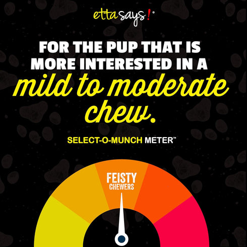 7" 10 Pack etta says! Select Crunchy Dog Chews - Rawhide-Free Dog Treats - Made in the USA - Odor-Free, All-Natural