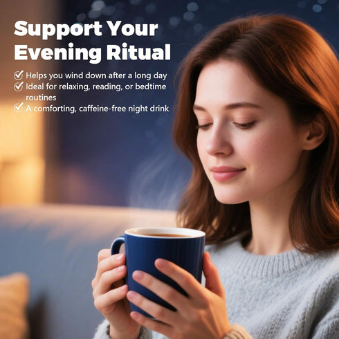 10 8.5oz Mushroom Hot Chocolate for Calm & Relax | Mushroom Blend with L-Theanine, GABA, Magnesium Glycinate, MCT