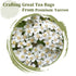 50 Count, 2g/bag Immunity FullChea - Yarrow Tea Bags, - Premium Yarrow Herb - Non-GMO - Caffeine-free - Aid Digestion
