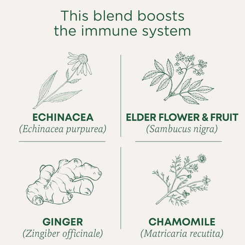 Immune 96 (6 Pack) Traditional Medicinals Tea, Organic Echinacea Plus Elderberry, Boosts the System, Tea Bags