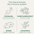 Immune 96 (6 Pack) Traditional Medicinals Tea, Organic Echinacea Plus Elderberry, Boosts the System, Tea Bags