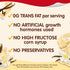 Snack Pack 3.25 oz., 4-Count (Pack 12) Vanilla Flavored Pudding Cups