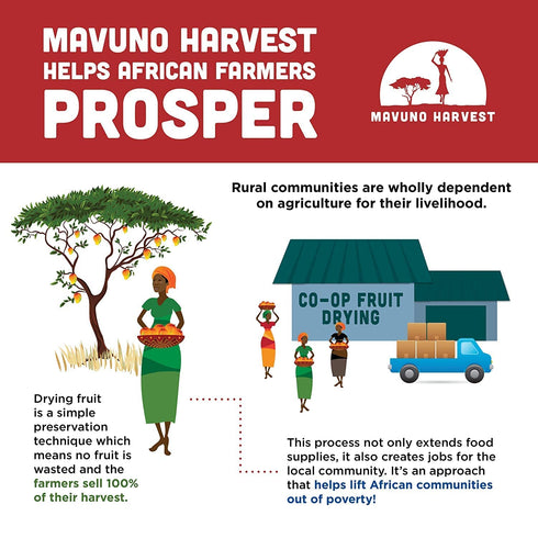 Pack 2 6 Pack Mavuno Harvest Organic Dried Fruit Variety | Dried Mango, Papaya, Pineapple, Banana, Jackfruit
