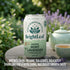 12oz BrightLeaf Mint Lavender Sparkling Tea for Relaxation and Digestion Caffeine-Free, Zero Sugar, Calories