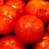 28 oz (3 Pack) Pastene"Kitchen Ready" Ground Peeled Tomatoes