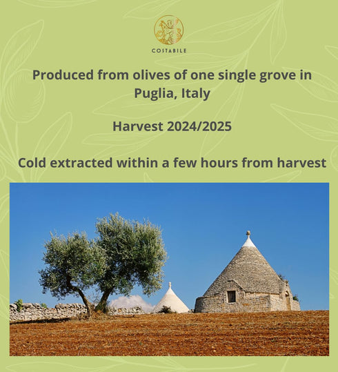 Herbed Olive Oil - Extra Virgin Tuscan Herb Olive Oil from Italy - Perfect for Infused Mediterranean Seasoning and Herb