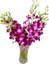 20 Stems purple orchids fresh cut flower gift birthday anniversary Valentine's Day flowers Dendrobium orchid